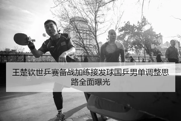 王楚钦世乒赛备战加练接发球国乒男单调整思路全面曝光