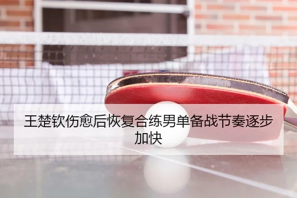 王楚钦伤愈后恢复合练男单备战节奏逐步加快