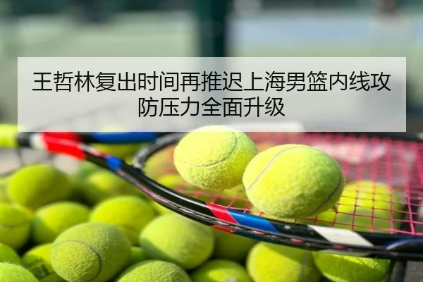王哲林复出时间再推迟上海男篮内线攻防压力全面升级